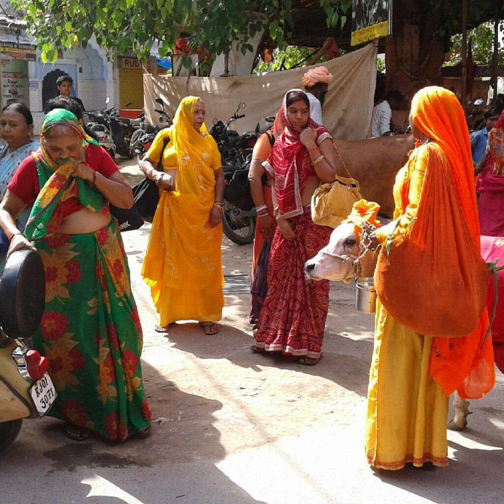 Great Tour of India - Myladytrip.com