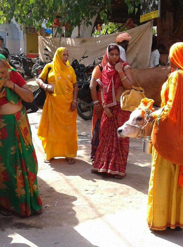 Great Tour of India - Myladytrip.com