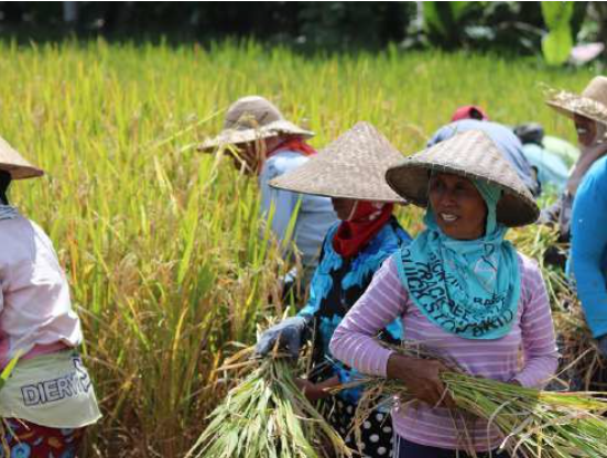 Bali little adventurers - Bali with kids - lasviajerasporelmundo.com