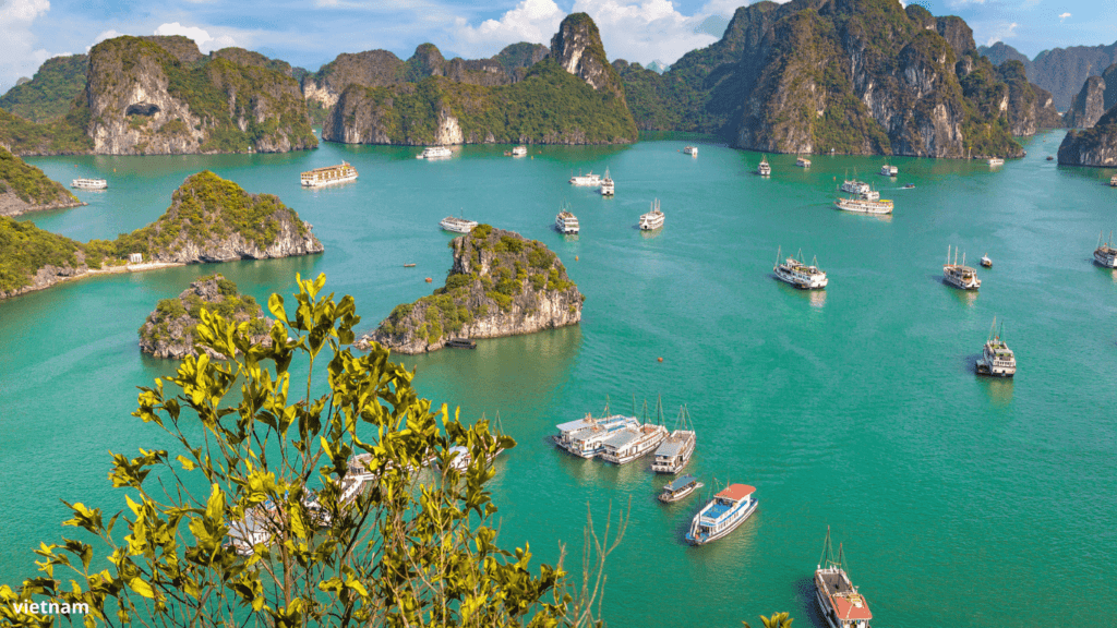 Beauties of Vietnam - Myladytrip
