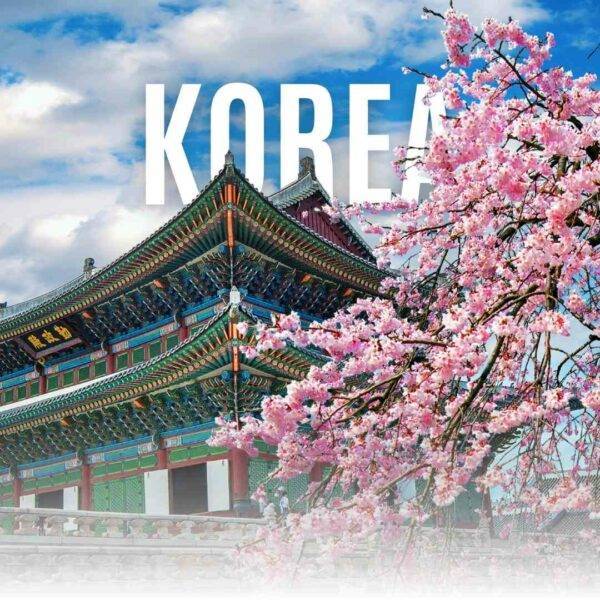 Travel to Korea with women