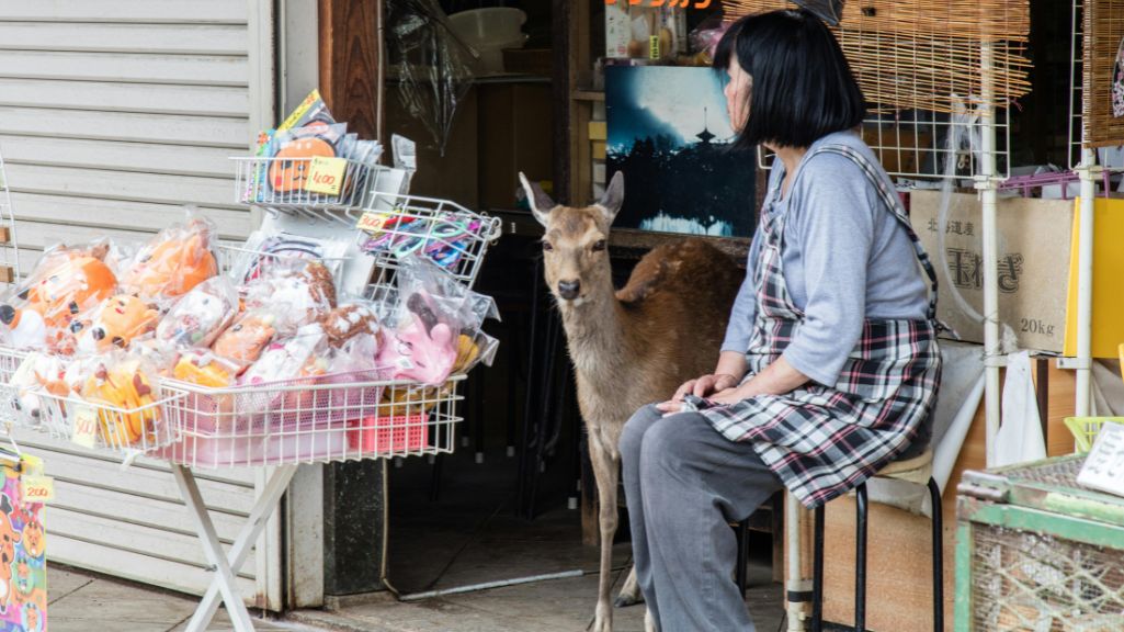 Nara Japon
