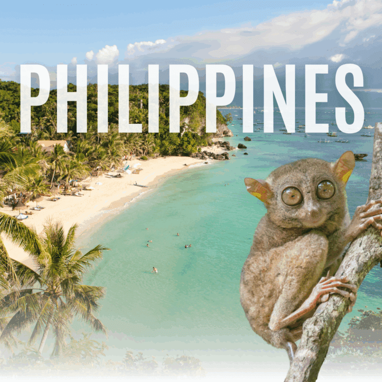 Destination Philippines