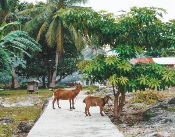 Philippines 9