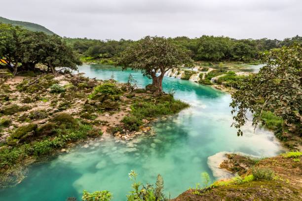 Photo has taken from salalah ( Dhofar Region) during the Mansoon season.